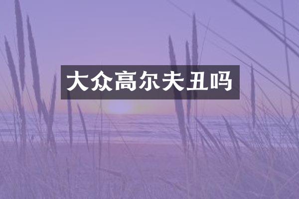 大众高尔夫丑吗