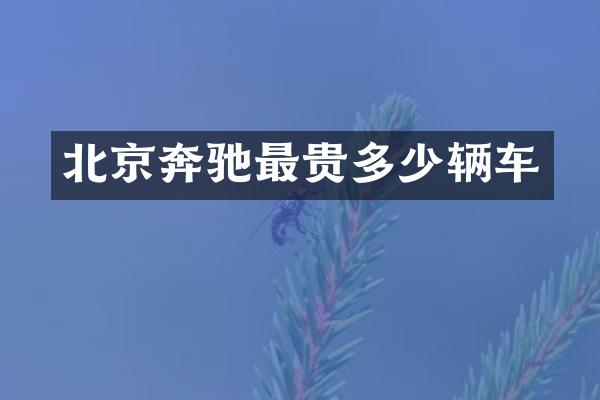 北京奔驰最贵多少辆车