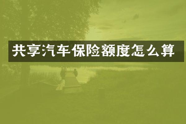 共享汽车保险额度怎么算