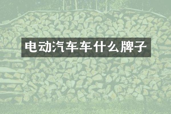 电动汽车车什么牌子