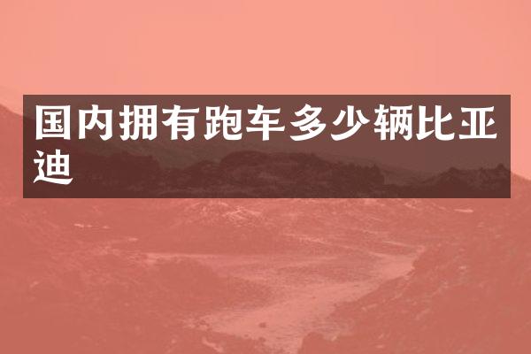 国内拥有跑车多少辆比亚迪