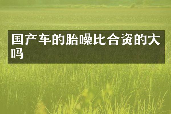 国产车的胎噪比合资的大吗