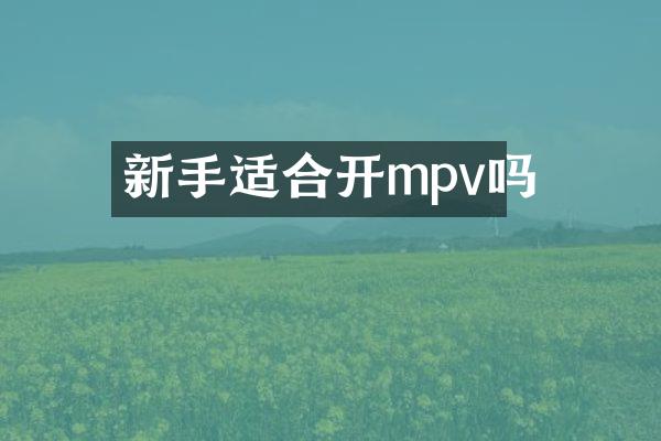 新手适合开mpv吗
