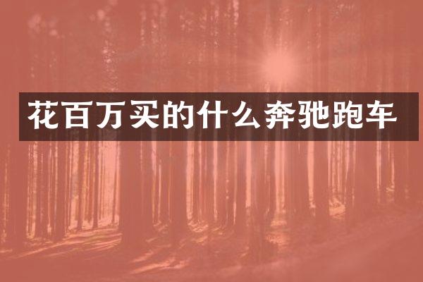 花百万买的什么奔驰跑车