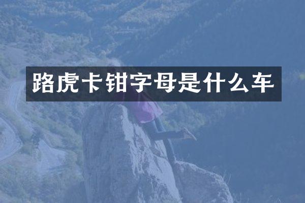 路虎卡钳字母是什么车