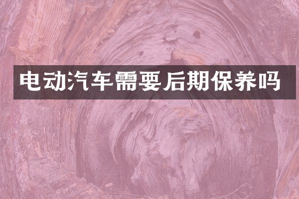 电动汽车需要后期保养吗
