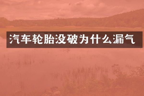 汽车轮胎没破为什么漏气