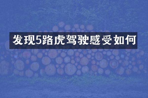 发现5路虎驾驶感受如何
