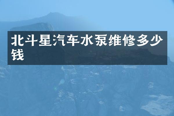 北斗星汽车水泵维修多少钱