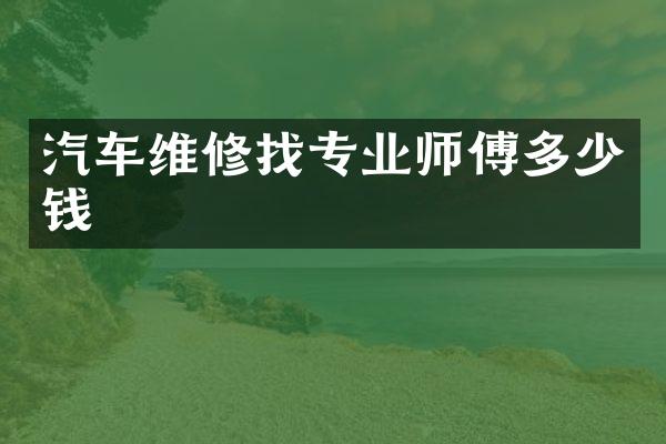 汽车维修找专业师傅多少钱