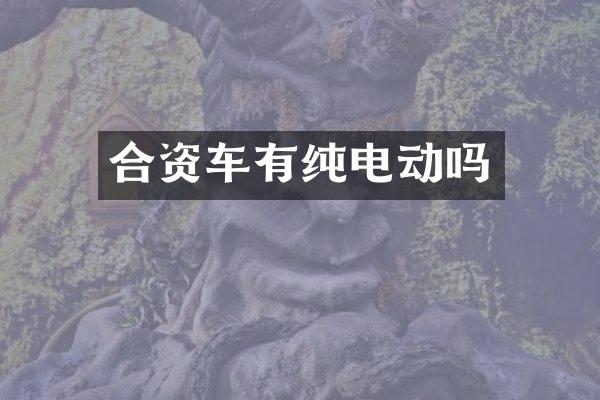 合资车有纯电动吗
