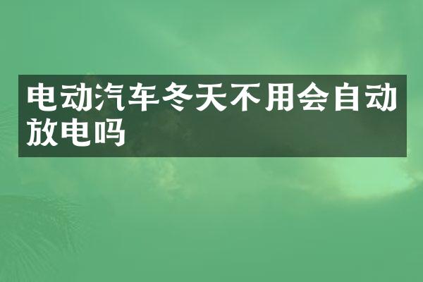电动汽车冬天不用会自动放电吗