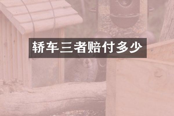 轿车三者赔付多少