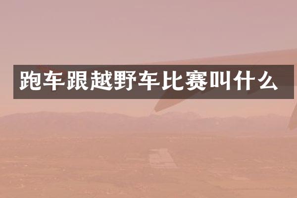 跑车跟越野车比赛叫什么