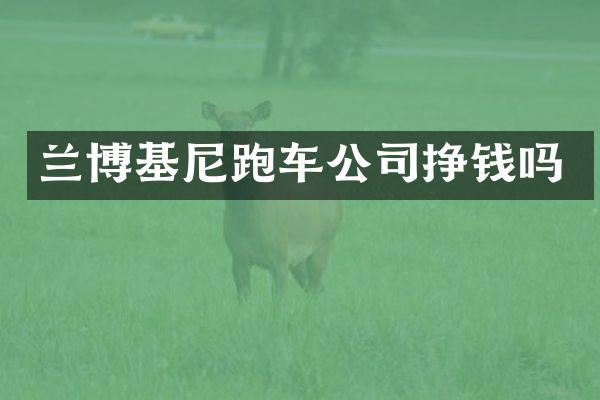 兰博基尼跑车公司挣钱吗