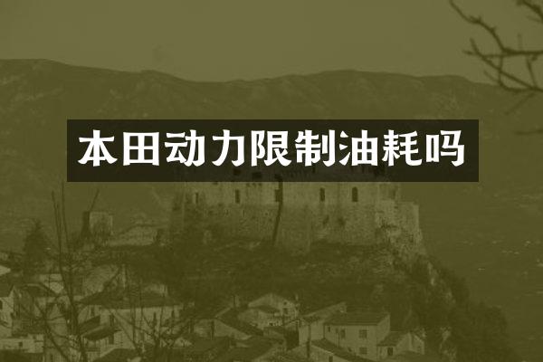 本田动力限制油耗吗