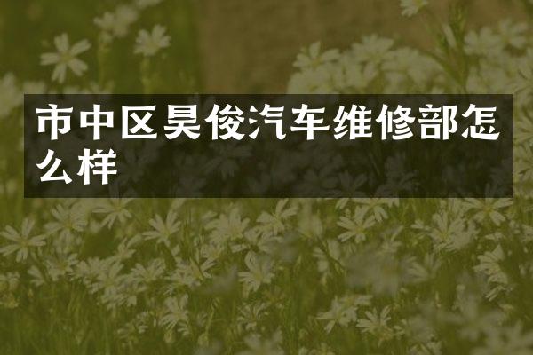 市中区昊俊汽车维修部怎么样