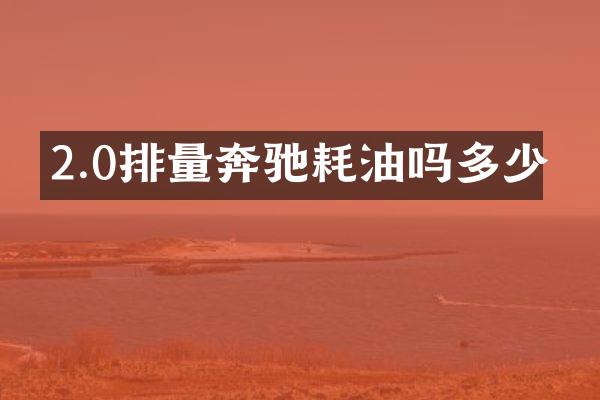 2.0排量奔驰耗油吗多少