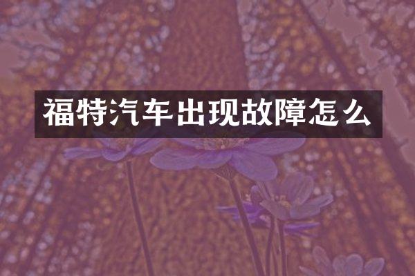 福特汽车出现故障怎么