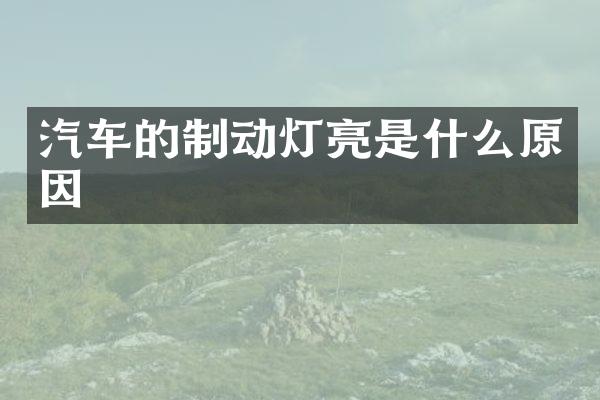 汽车的制动灯亮是什么原因