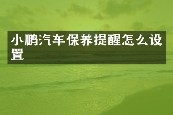 小鹏汽车保养提醒怎么设置