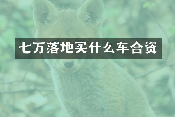 七万落地车合资