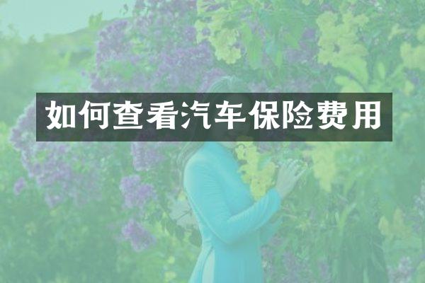 如何查看汽车保险费用