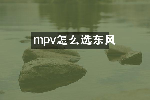 mpv怎么选东风