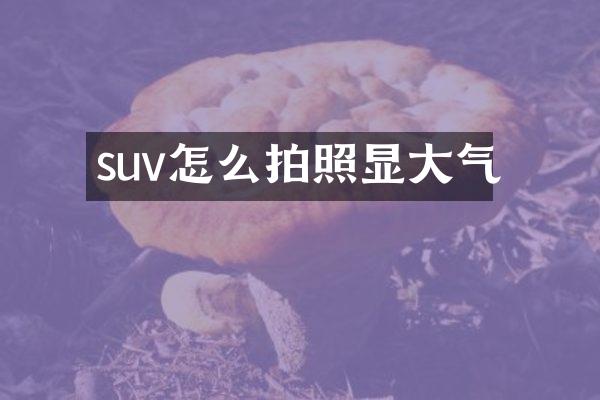 suv怎么拍照显大气