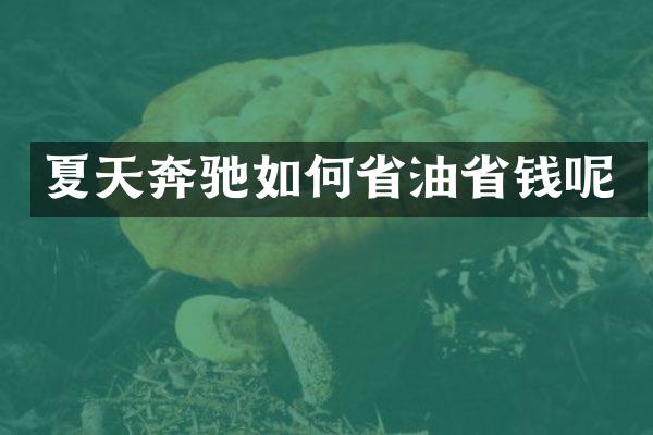 夏天奔驰如何省油省钱呢