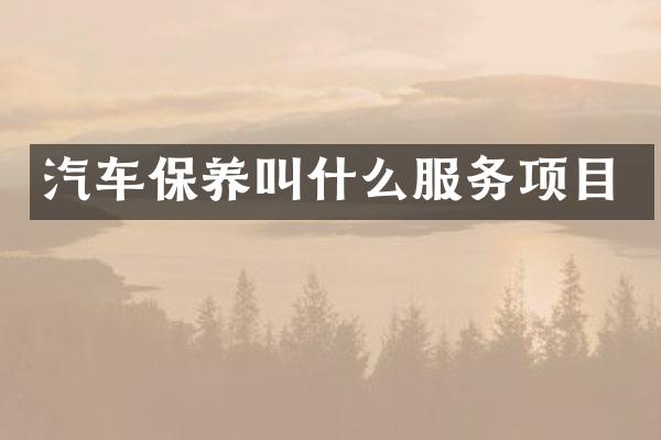 汽车保养叫什么服务项目