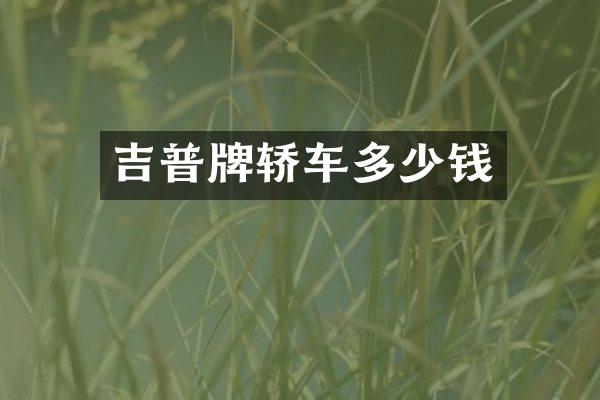 吉普牌轿车多少钱