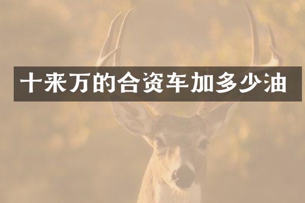 十来万的合资车加多少油