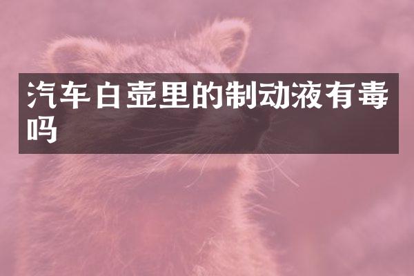 汽车白壶里的制动液有毒吗