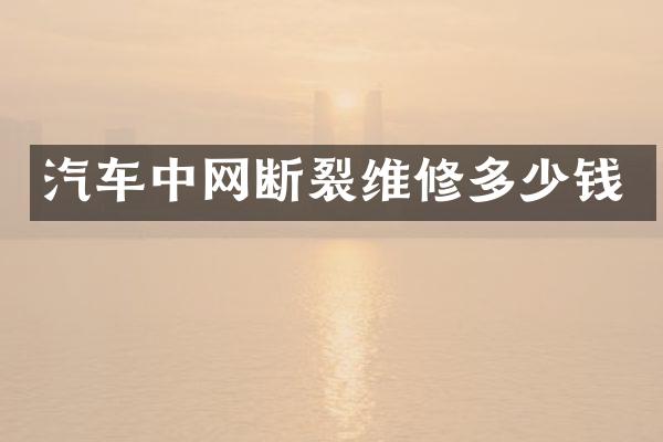 汽车中网断裂维修多少钱