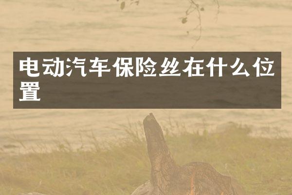 电动汽车保险丝在什么位置