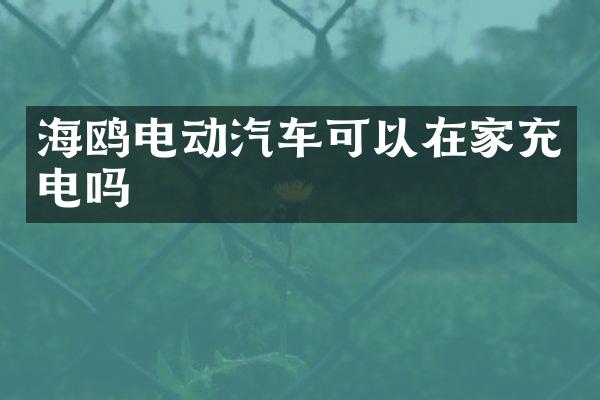 海鸥电动汽车可以在家充电吗