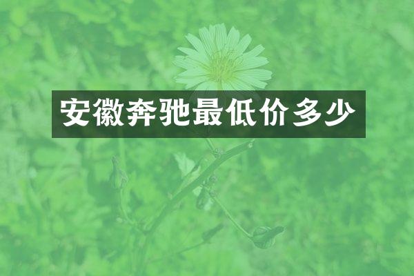 安徽奔驰最低价多少