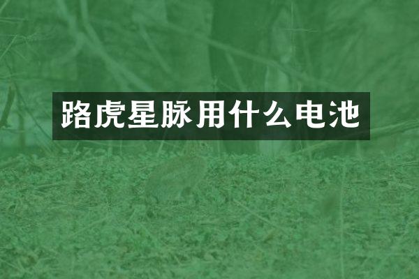 路虎星脉用什么电池
