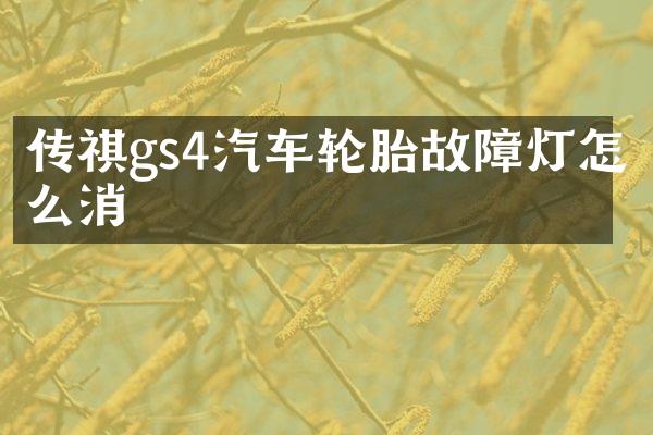 传祺gs4汽车轮胎故障灯怎么消