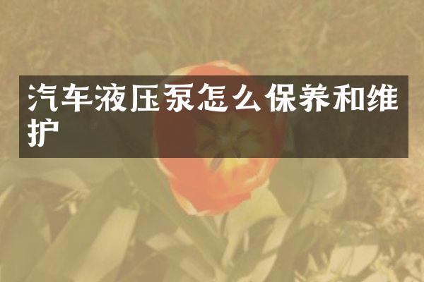 汽车液压泵怎么保养和维护