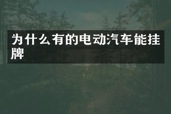 为什么有的电动汽车能挂牌