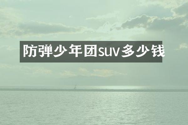 少年团suv多少钱