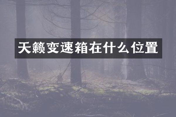 天籁变速箱在什么位置
