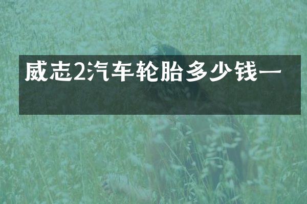 威志2汽车轮胎多少钱一只