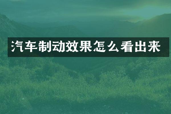 汽车制动效果怎么看出来