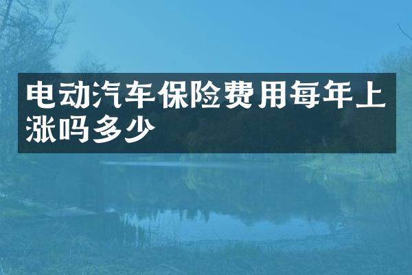 电动汽车保险费用每年上涨吗多少