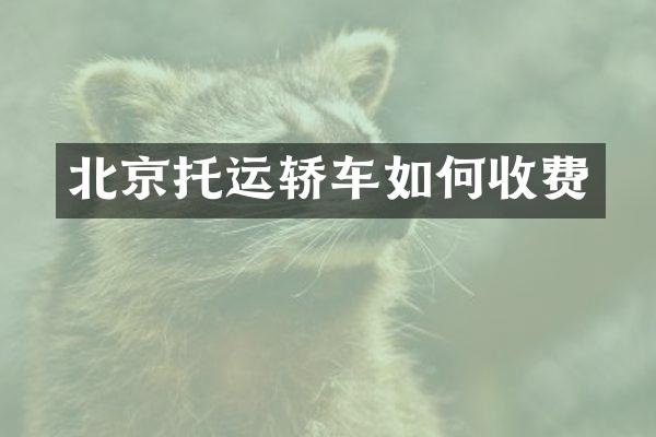 北京托运轿车如何收费