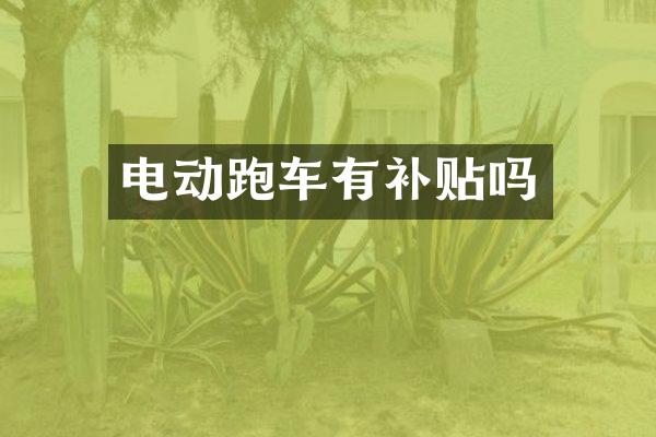 电动跑车有补贴吗