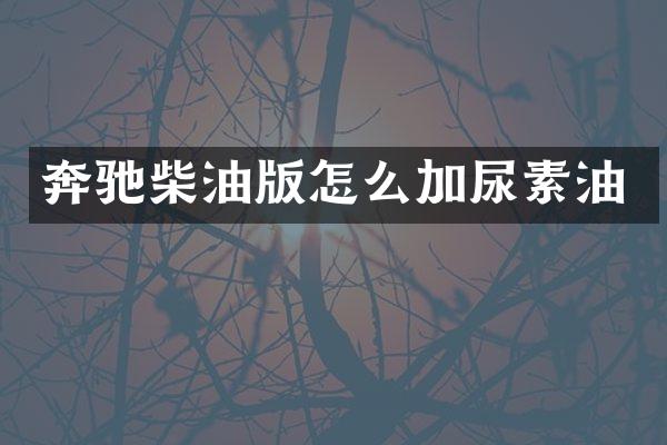 奔驰柴油版怎么加尿素油